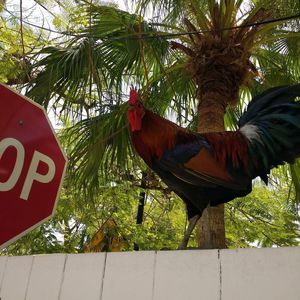 Meet your Posher, Tim